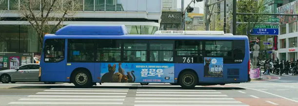 Fleet bus wraps for companies
