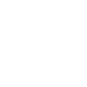 Squeegee