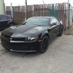 Camero_Matt_Gloss