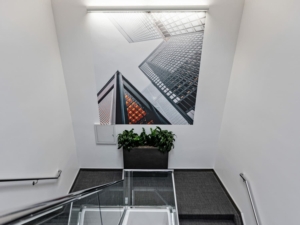 Window and Wall Graphics