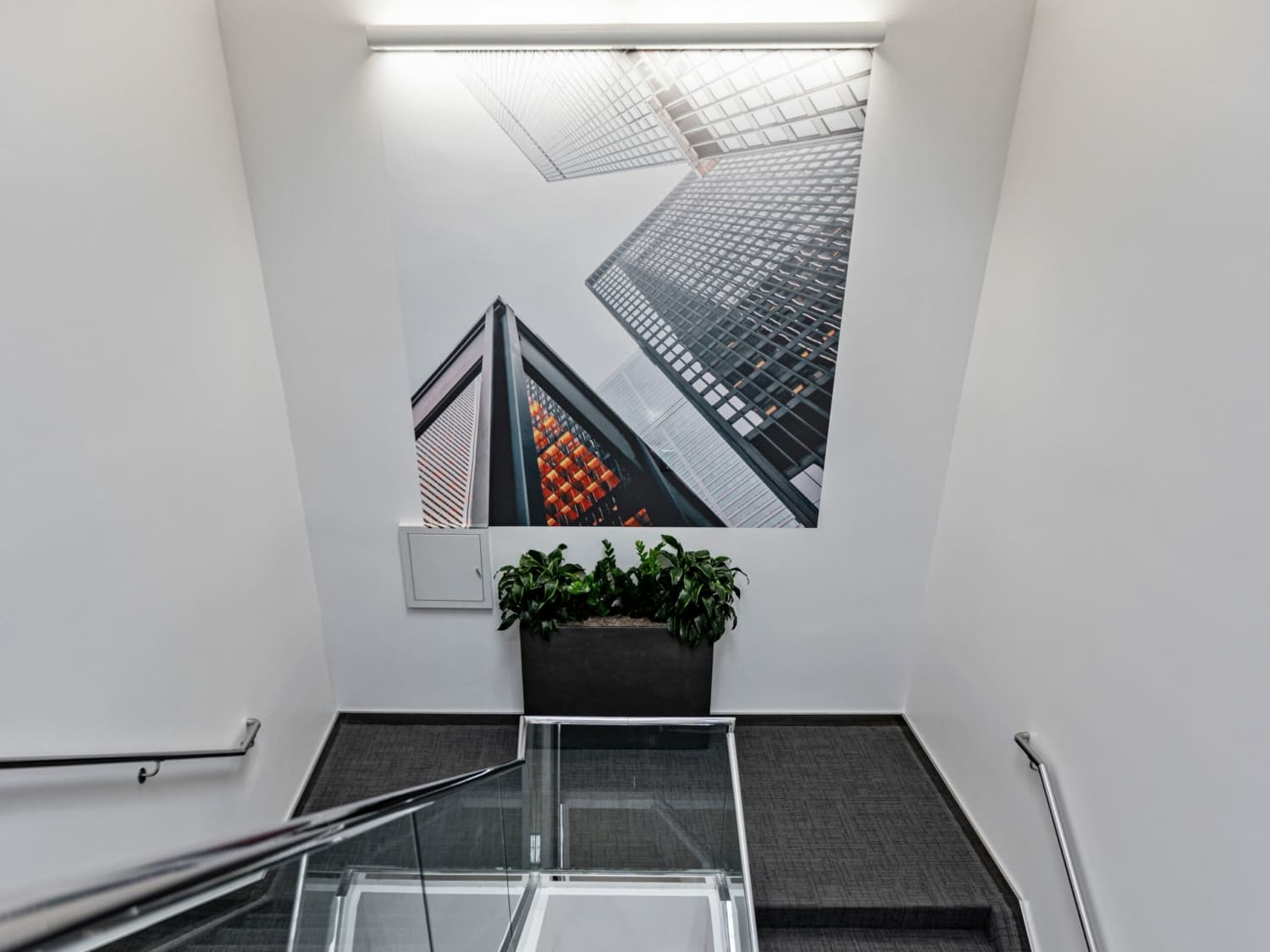 Window and Wall Graphics