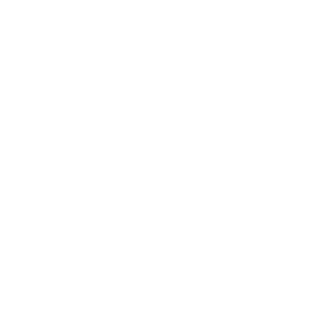 Squeegee